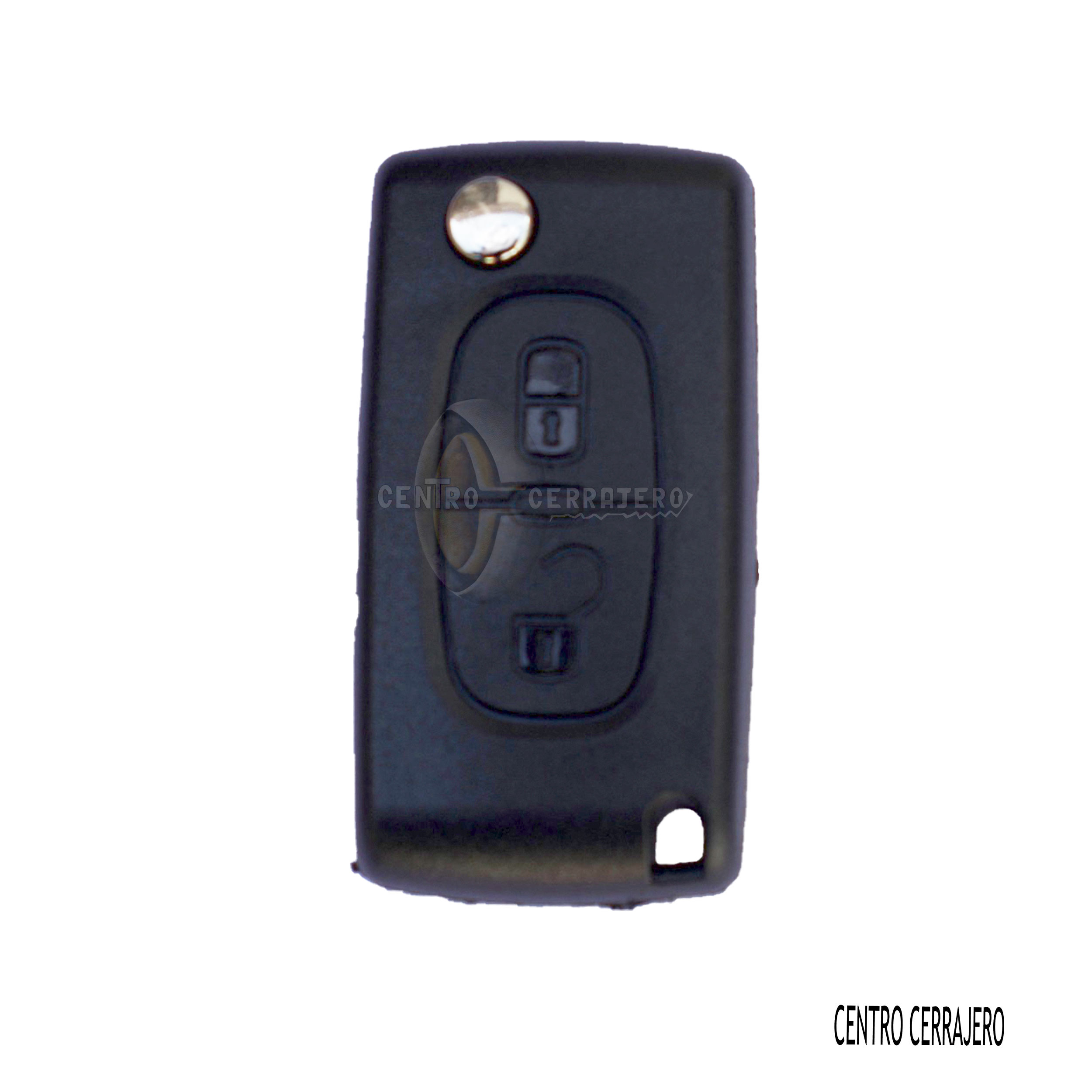 CARCASA BMW 2 BOTONES (BM-6.P)